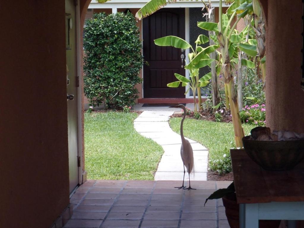 Beach Road Villas Sanibel Eksteriør bilde